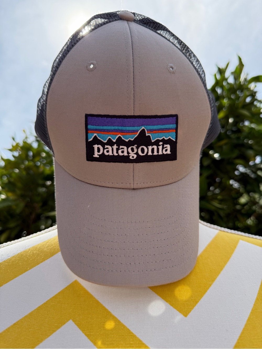 Patagonia Logo Hat - Picture 3 of 7
